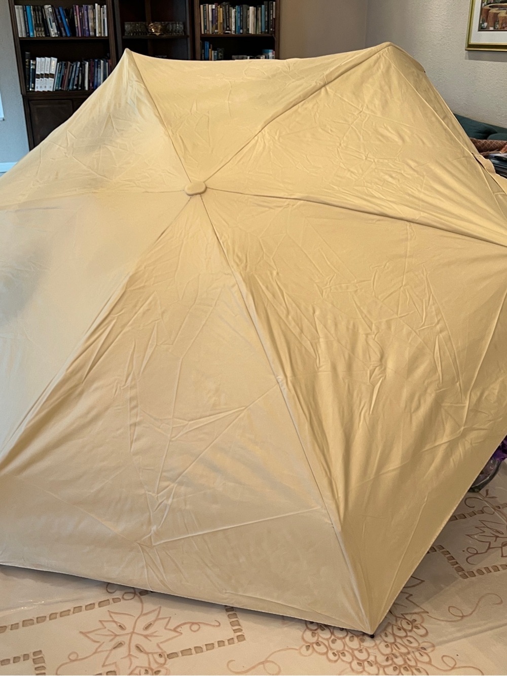 Compact Cream Umbrella with Carry Case - Picture 2 of 5